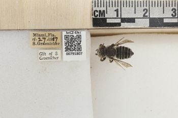 Media type: image;   Entomology 791807 Aspect: Labels